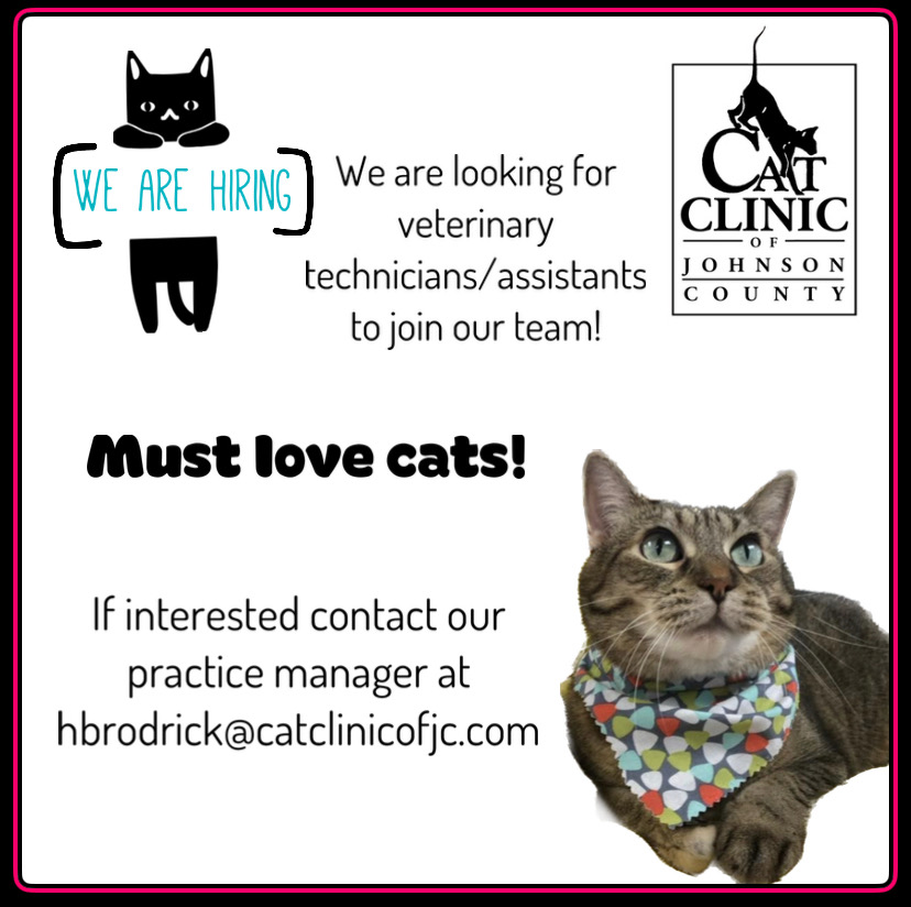 Understanding The Significance of Pet Vaccination Why It's Important